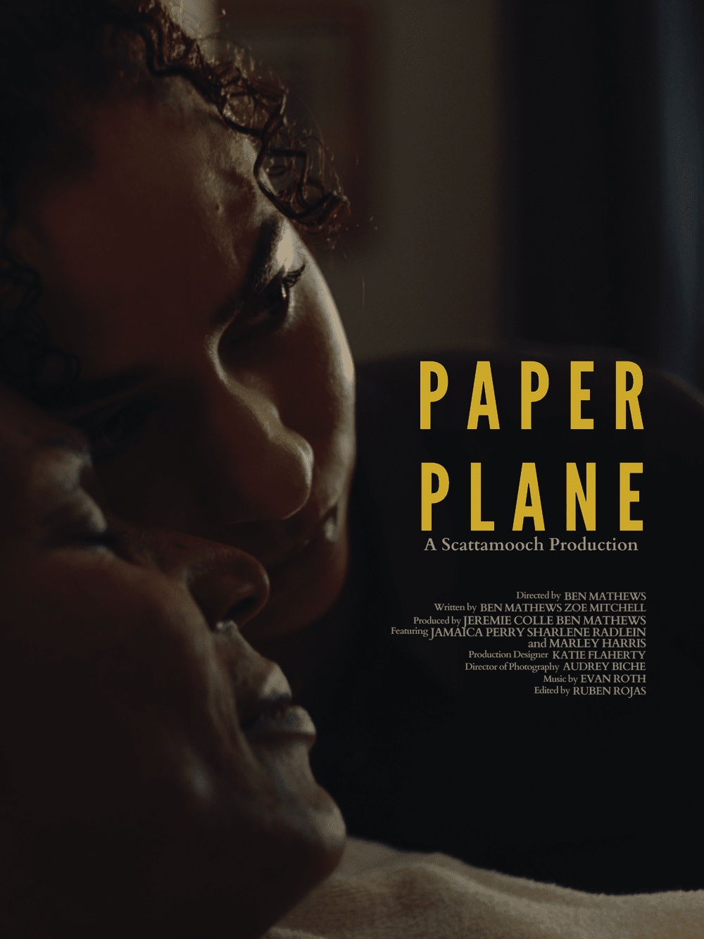 Paper Plane