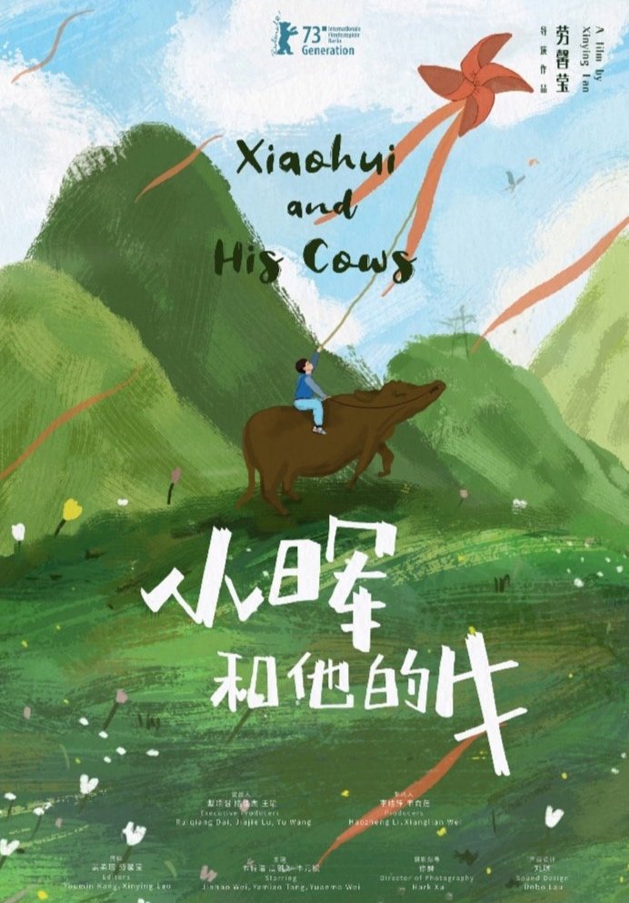 Xiaohui and His Cows